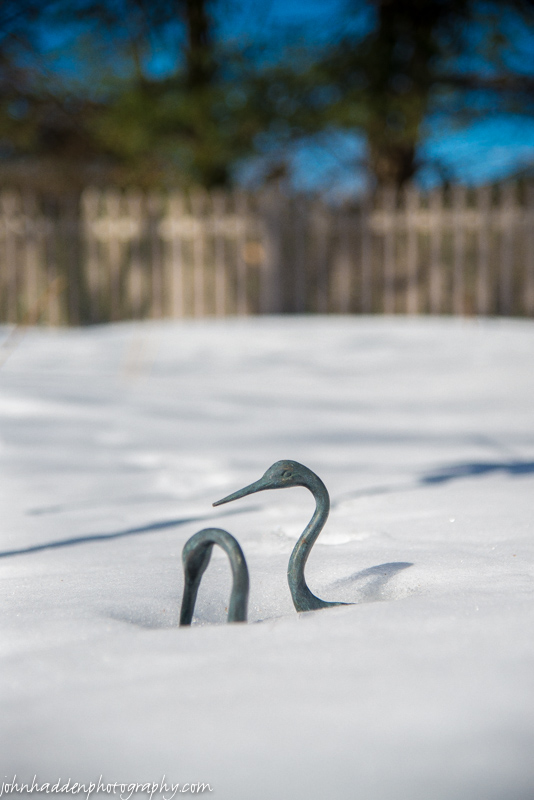 Some of our garden ornaments emerge from the snowpack